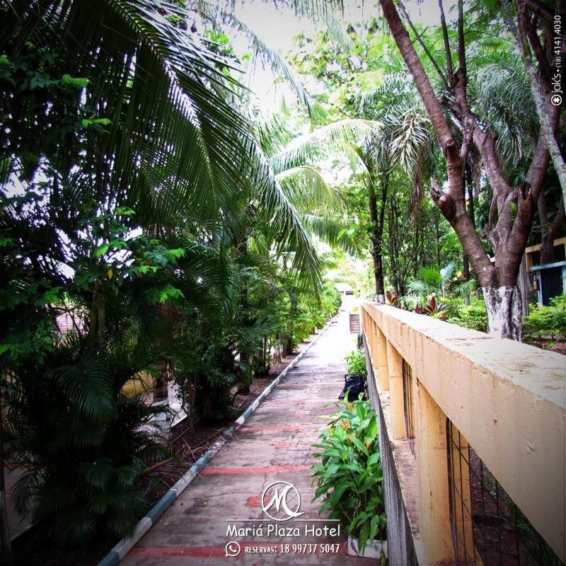 Maria Plaza Hotel Aracatuba  Ngoại thất bức ảnh